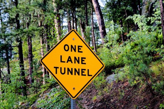 Low angle view of road sign in forest