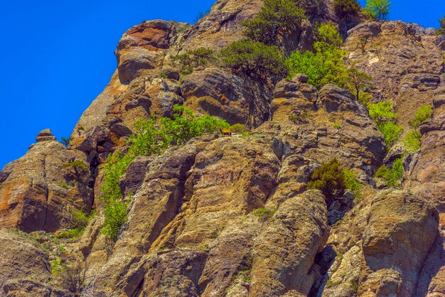 Low angle view of rock formation against sky