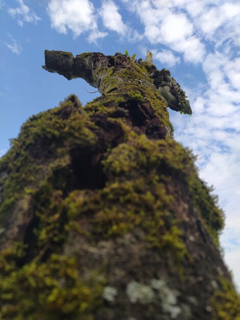 Foto vista a basso angolo della formazione rocciosa contro il cielo