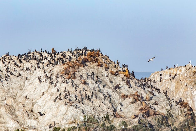 Low angle view of rock formations against clear blue sky