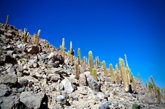 Foto vista a basso angolo delle rocce contro un cielo blu limpido