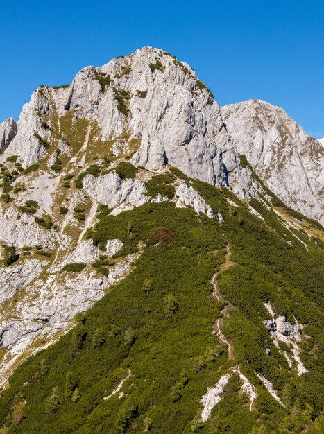 Foto vista a basso angolo delle rocce contro un cielo limpido