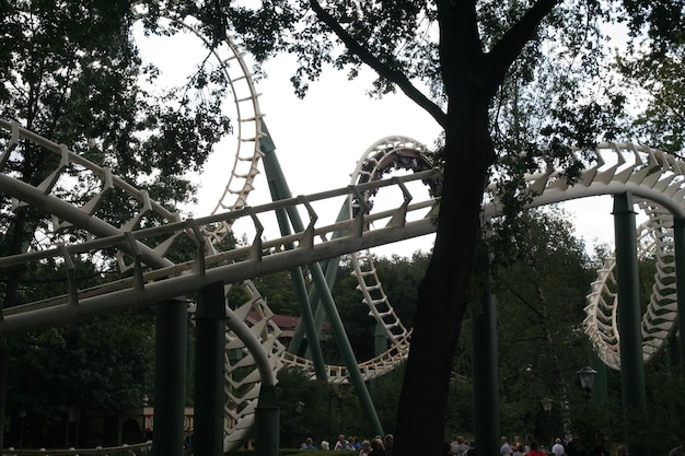 Low angle view of rollercoaster amidst trees at amusement park