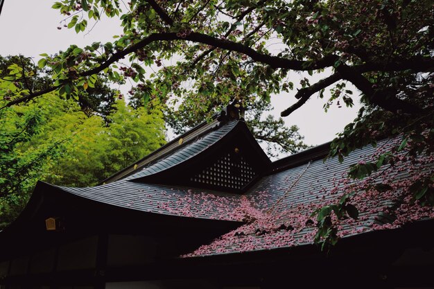 Photo low angle view of roof against trees