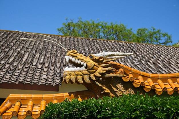 Low angle view of roof tiles