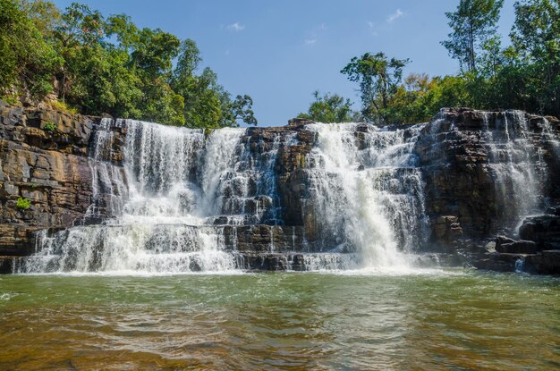 Photo low angle view of saala waterfall in forest against sky guinea west africa