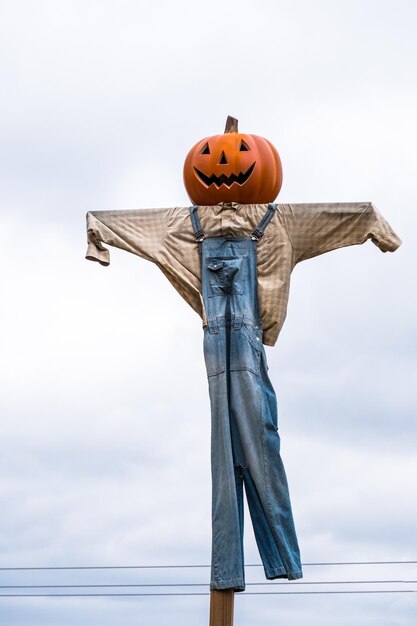 Photo low angle view of scarecrow against sky