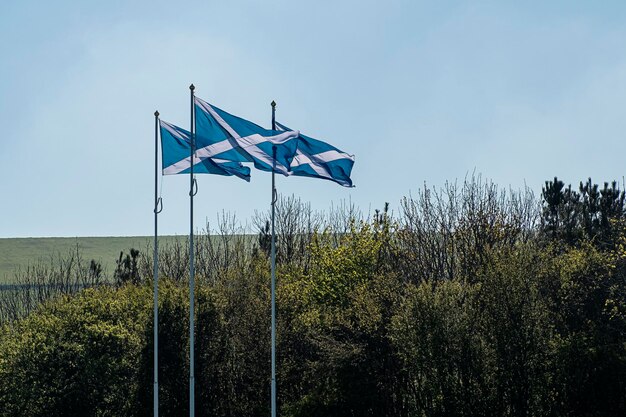 Photo low angle view of scottish flags against sky