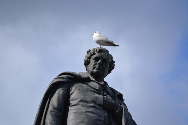 Foto vista a bassa angolazione della statua del gabbiano contro il cielo