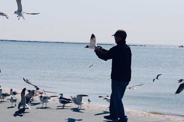 Low angle view of seagulls on beach against sky