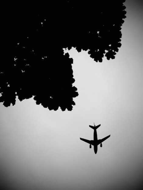 Foto vista a basso angolo dell'aereo a silhouette contro un cielo limpido