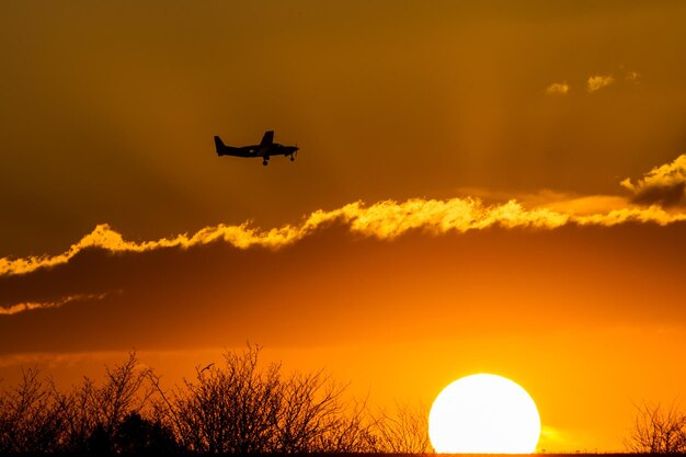 Foto vista a basso angolo della silhouette dell'aereo contro il cielo durante il tramonto