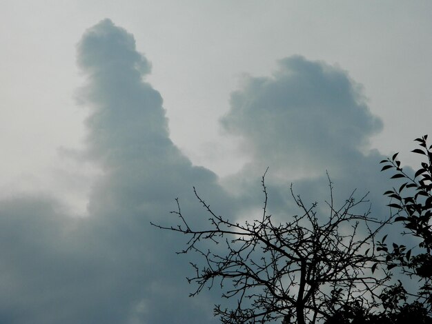 Low angle view of silhouette bare tree against sky