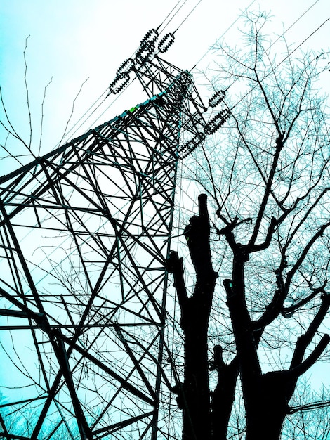 Photo low angle view of silhouette bare tree against sky