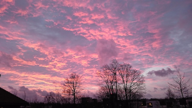 Low angle view of silhouette bare trees against cloudy sky at sunset