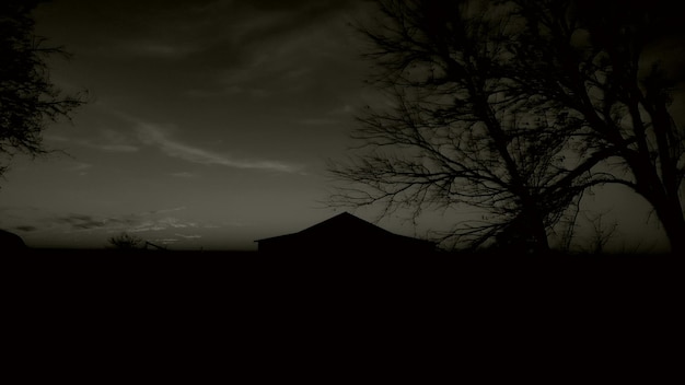 Low angle view of silhouette bare trees against sky at sunset