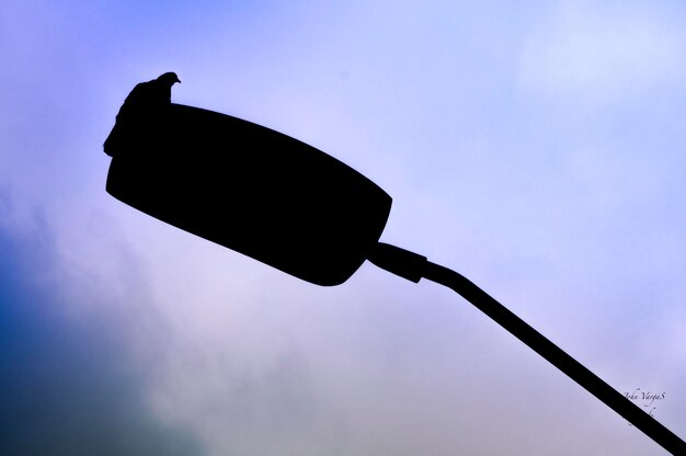 Low angle view of silhouette bird against clear sky