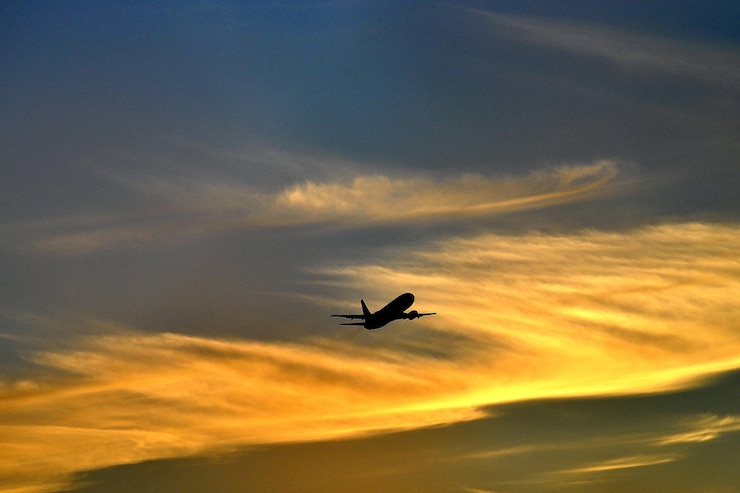 Photo low angle view of silhouette bird flying against sky during sunset