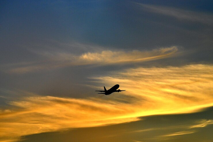 Photo low angle view of silhouette bird flying against sky during sunset