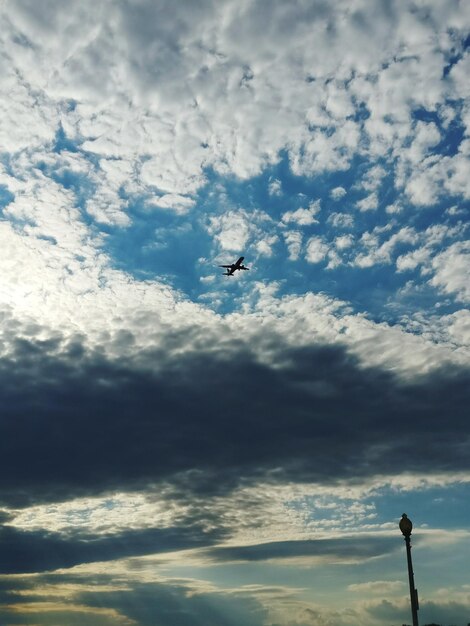 Foto vista a bassa angolazione di un uccello a silhouette che vola contro il cielo