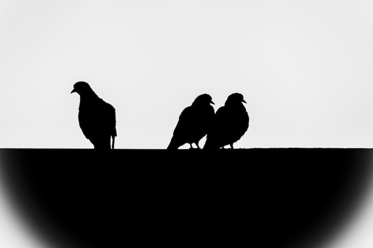 Photo 明るい空を背景に鳥のシルエットを低角度で眺める