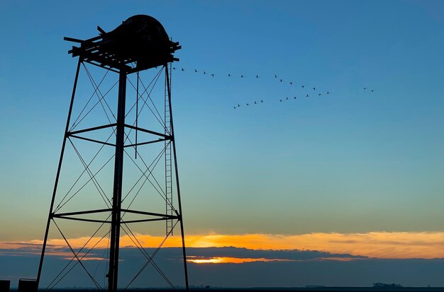 Low angle view of silhouette birds against sky during sunset