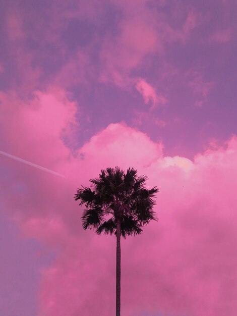 Low angle view of silhouette coconut palm tree against romantic sky