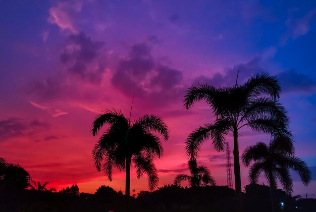 Low angle view of silhouette coconut palm trees against dramatic sky