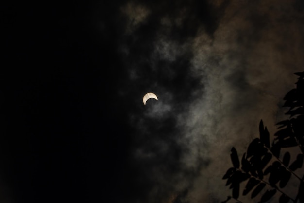 Photo low angle view of silhouette moon against sky at night