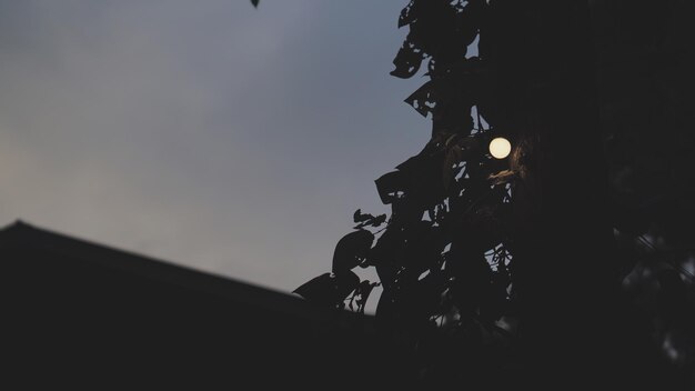 Photo low angle view of silhouette motorcycle against sky