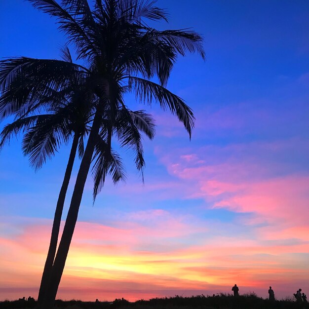 Low angle view of silhouette palm tree against romantic sky