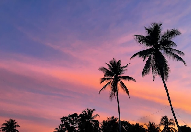 Low angle view of silhouette palm trees against cloudy sky during sunset