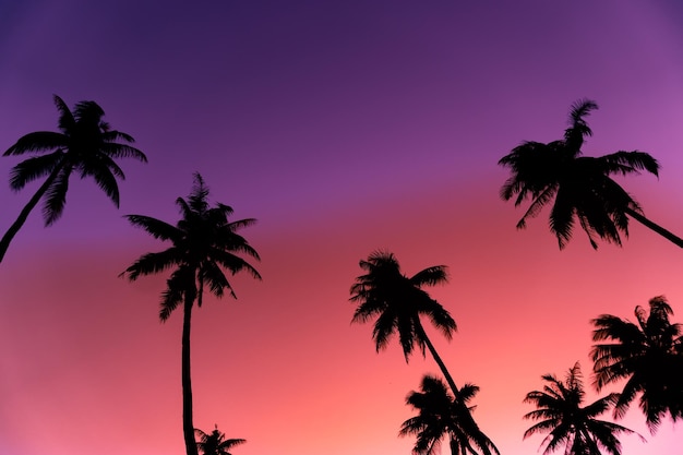 Low angle view of silhouette palm trees against romantic sky