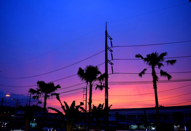 Low angle view of silhouette palm trees against sky at sunset