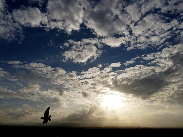 Low angle view of silhouette person against sky during sunset