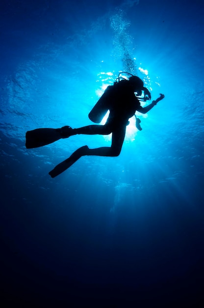 Foto vista a bassa angolazione della silhouette di una persona che nuota in mare