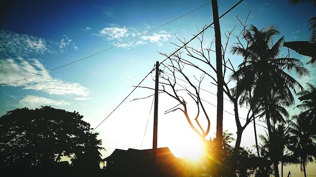 Low angle view of silhouette power lines