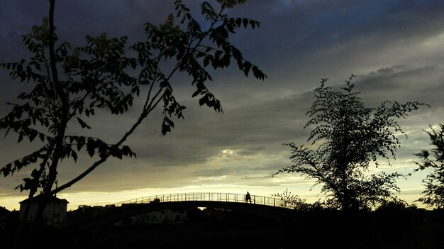 Low angle view of silhouette tree against cloudy sky