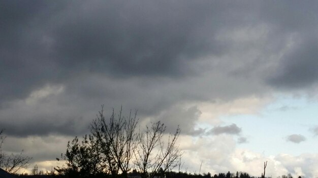 Low angle view of silhouette tree against cloudy sky