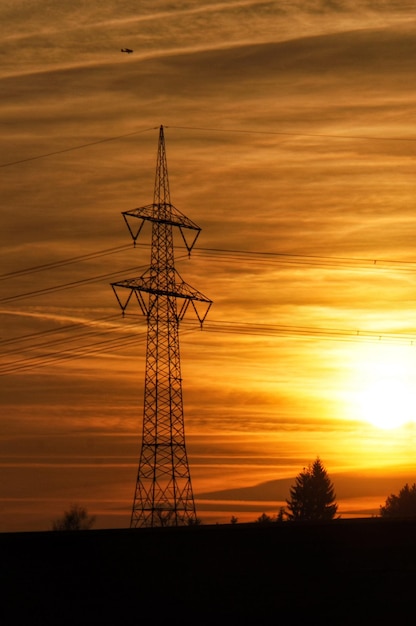 Low angle view of silhouette tree against orange sky