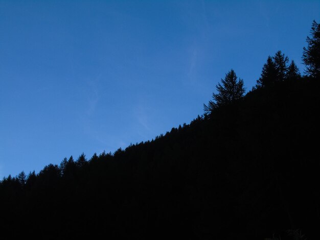 Low angle view of silhouette trees against blue sky
