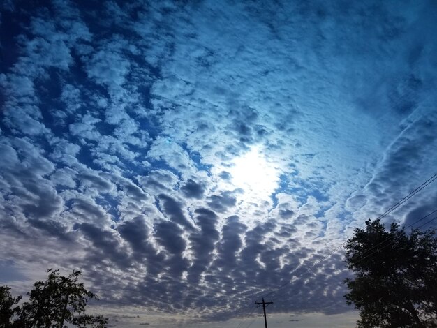 Low angle view of silhouette trees against blue sky