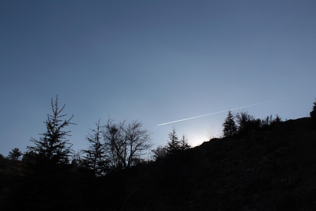 Low angle view of silhouette trees against clear blue sky