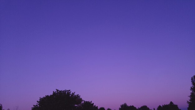 Low angle view of silhouette trees against clear sky