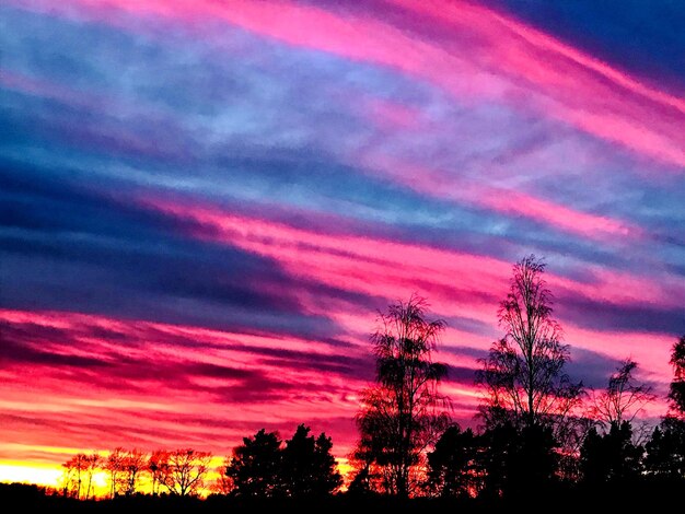 Low angle view of silhouette trees against dramatic sky during sunset