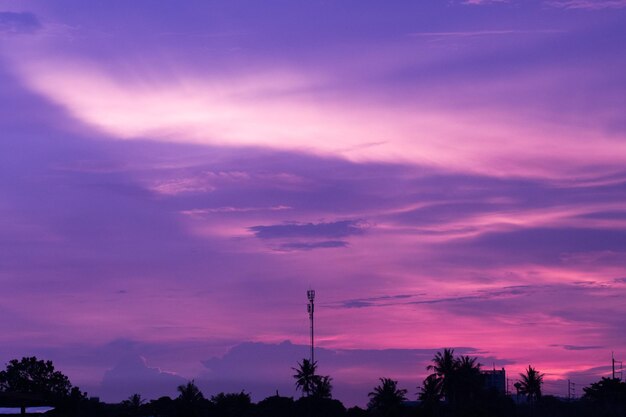 Low angle view of silhouette trees against dramatic sky