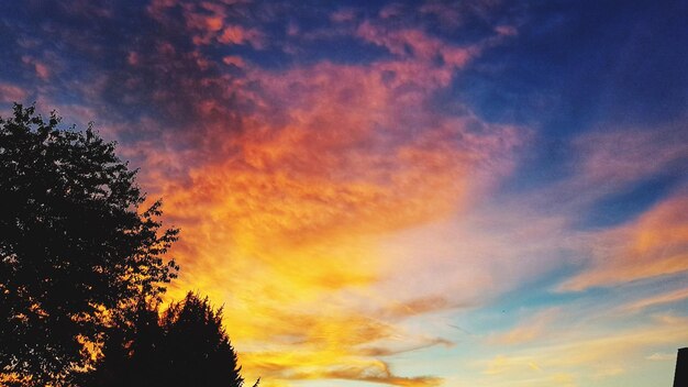 Low angle view of silhouette trees against dramatic sky