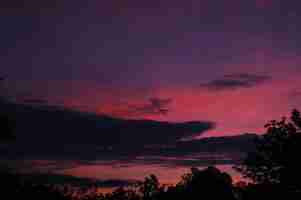 Photo low angle view of silhouette trees against dramatic sky