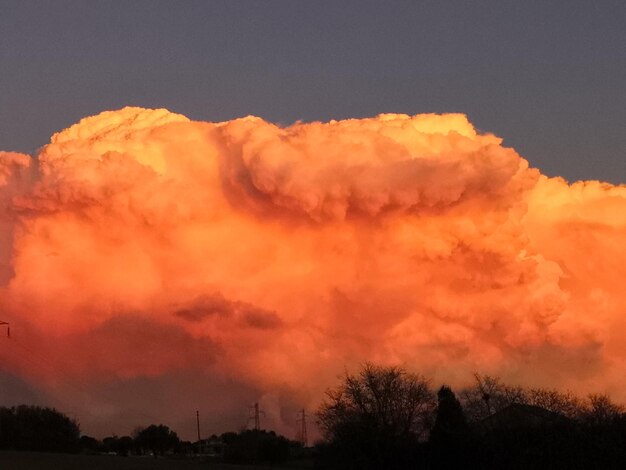 Low angle view of silhouette trees against dramatic sky