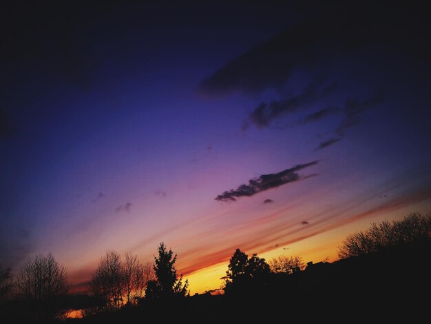 Low angle view of silhouette trees against dramatic sky